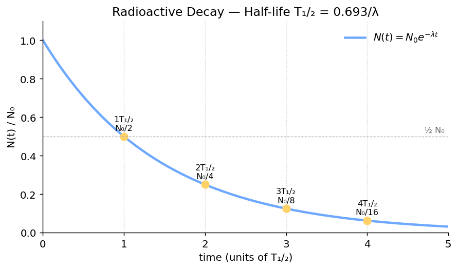 Exponential decay with half-life markers